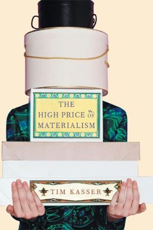 Cover of the book The High Price of Materialism by Amaranth Borsuk