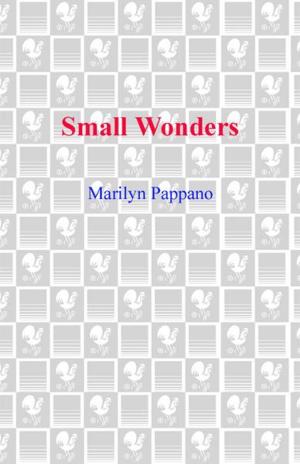 Cover of the book Small Wonders by George R. R. Martin