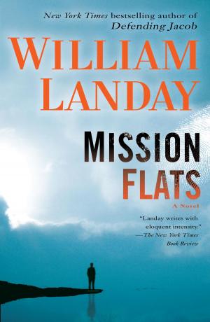 bigCover of the book Mission Flats by 