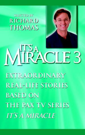 Book cover of It's a Miracle 3