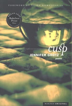Cover of the book Cusp by Cece Meng