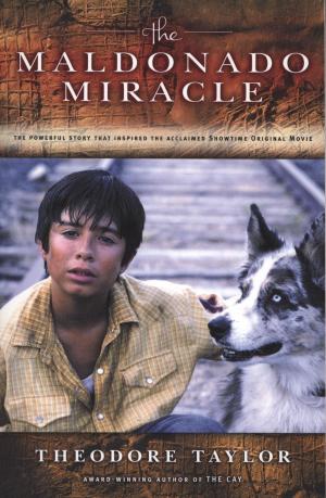 Cover of the book The Maldonado Miracle by Kjartan Poskitt, Wes Hargis