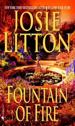 Cover of the book Fountain of Fire by Jacqueline Egan, Joan Liebmann-Smith