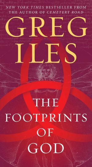 Cover of the book The Footprints of God by Philip R. Craig