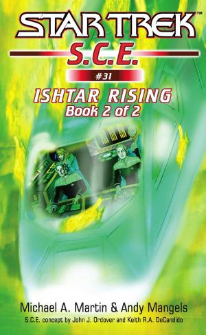 Book cover of Star Trek: Ishtar Rising Book 2