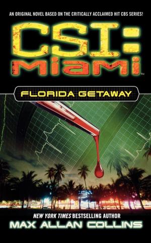 Cover of the book Florida Getaway by Eddy Brimson