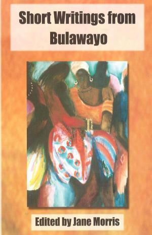 Cover of the book Short Writings from Bulawayo by Christopher Mlalazi