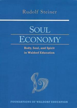 Cover of the book Soul Economy by Jennifer Crebbin