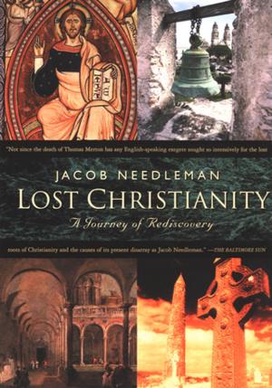Cover of the book Lost Christiantiy by Ella Berthoud, Susan Elderkin