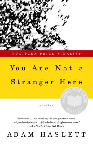 bigCover of the book You Are Not a Stranger Here by 