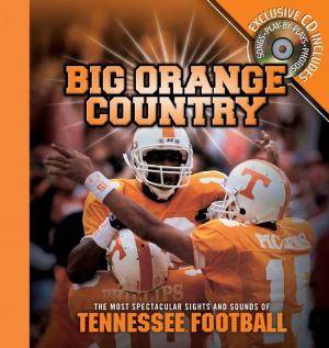 Cover of the book Big Orange Country by Beth Wiseman