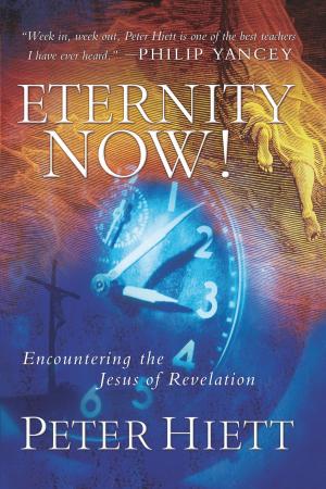 Cover of the book Eternity Now by Barbara Johnson