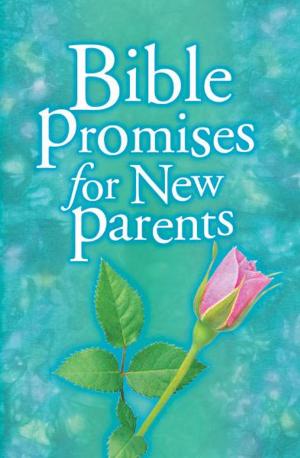 Book cover of Bible Promises for New Parents