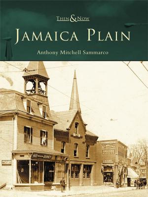 Cover of the book Jamaica Plain by Kent Patterson