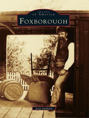 Cover of the book Foxborough by Kristin Bowen