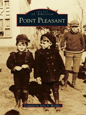 Cover of the book Point Pleasant by Mando Rayo, Jarod Neece, Joel Salcido, Dennis Burnett