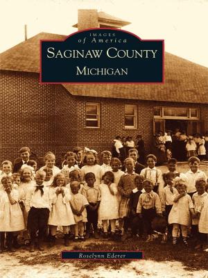 Cover of the book Saginaw County, Michigan by Kathleen Crocker, Jane Currie