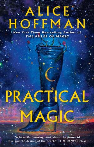 Cover of the book Practical Magic by M J Dees