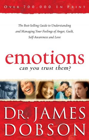 Cover of the book Emotions: Can You Trust Them? by Joseph L. Mangina