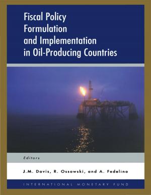 Cover of the book Fiscal Policy Formulation and Implementation in Oil-Producing Countries by Bijan Aghevli, Eduardo Mr. Borensztein, Tessa Ms. Van der Willigen