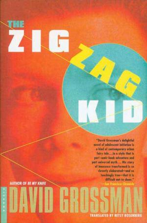 Cover of the book The Zig Zag Kid by Kristi Coulter
