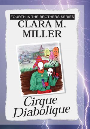 Cover of the book Cirque Diabolique by A. L. Provost