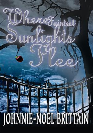 Cover of the book Where Faintest Sunlights Flee by Gregg Stoner