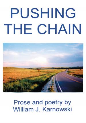 Cover of the book Pushing the Chain by Ana Maribel Moreno G.