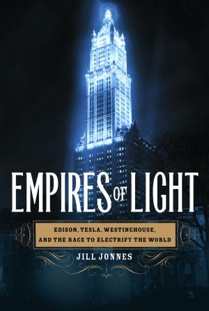 Cover of the book Empires of Light by Panache Desai