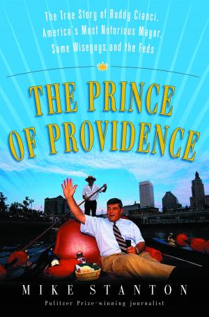 bigCover of the book The Prince of Providence by 
