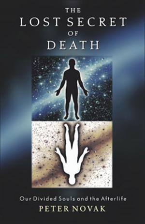 Cover of the book The Lost Secret of Death by Doris E. Cohen, PhD