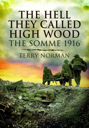 Cover of the book The Hell They Called High Wood by Ole Feldbaek