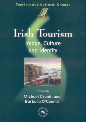 Cover of the book Irish Tourism by Dr. Matthew Clarke