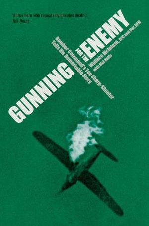 Cover of Gunning for the Enemy