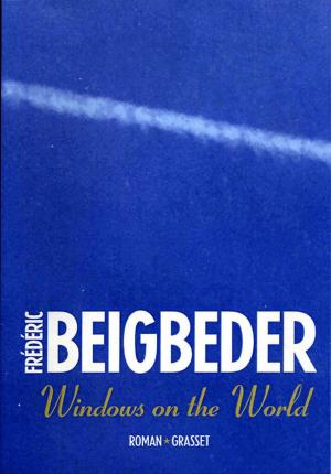 Cover of the book Windows on the world by Klaus-Dieter Regenbrecht
