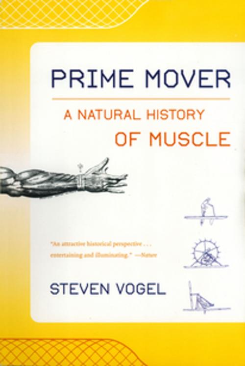 Cover of the book Prime Mover: A Natural History of Muscle by Steven Vogel, W. W. Norton & Company