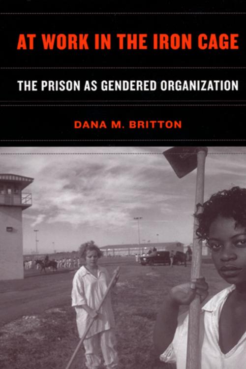 Cover of the book At Work in the Iron Cage by Dana M. Britton, NYU Press