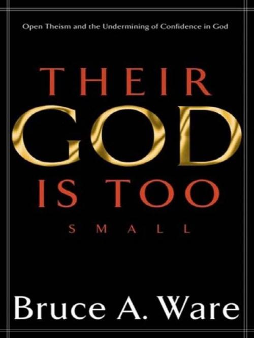 Cover of the book Their God Is Too Small: Open Theism and the Undermining of Confidence in God by Bruce A. Ware, Crossway