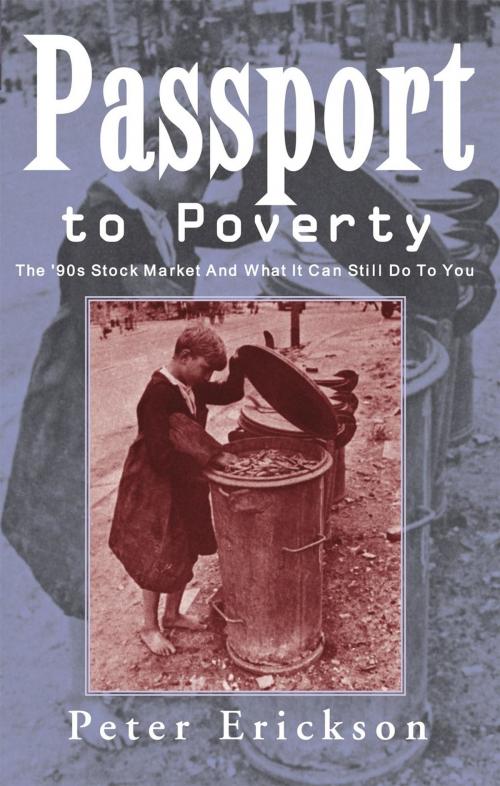 Cover of the book Passport to Poverty by Peter Erickson, Xlibris US