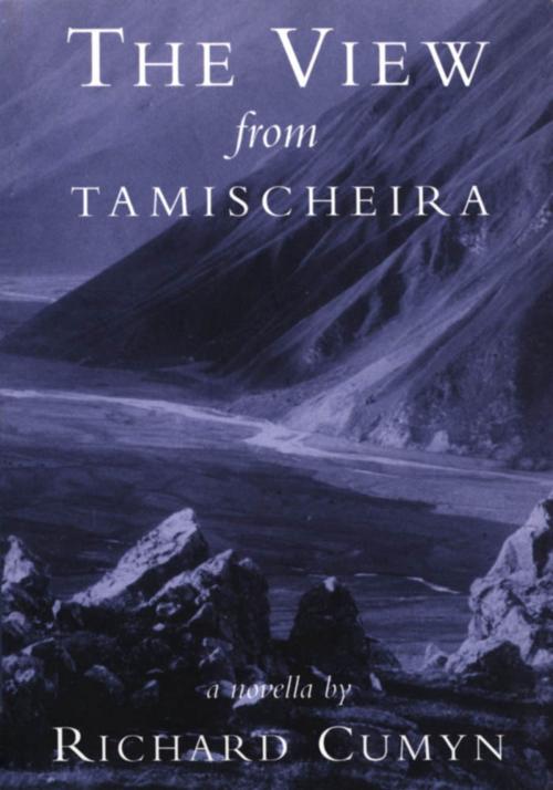 Cover of the book The View from Tamischeira by Richard Cumyn, Dundurn