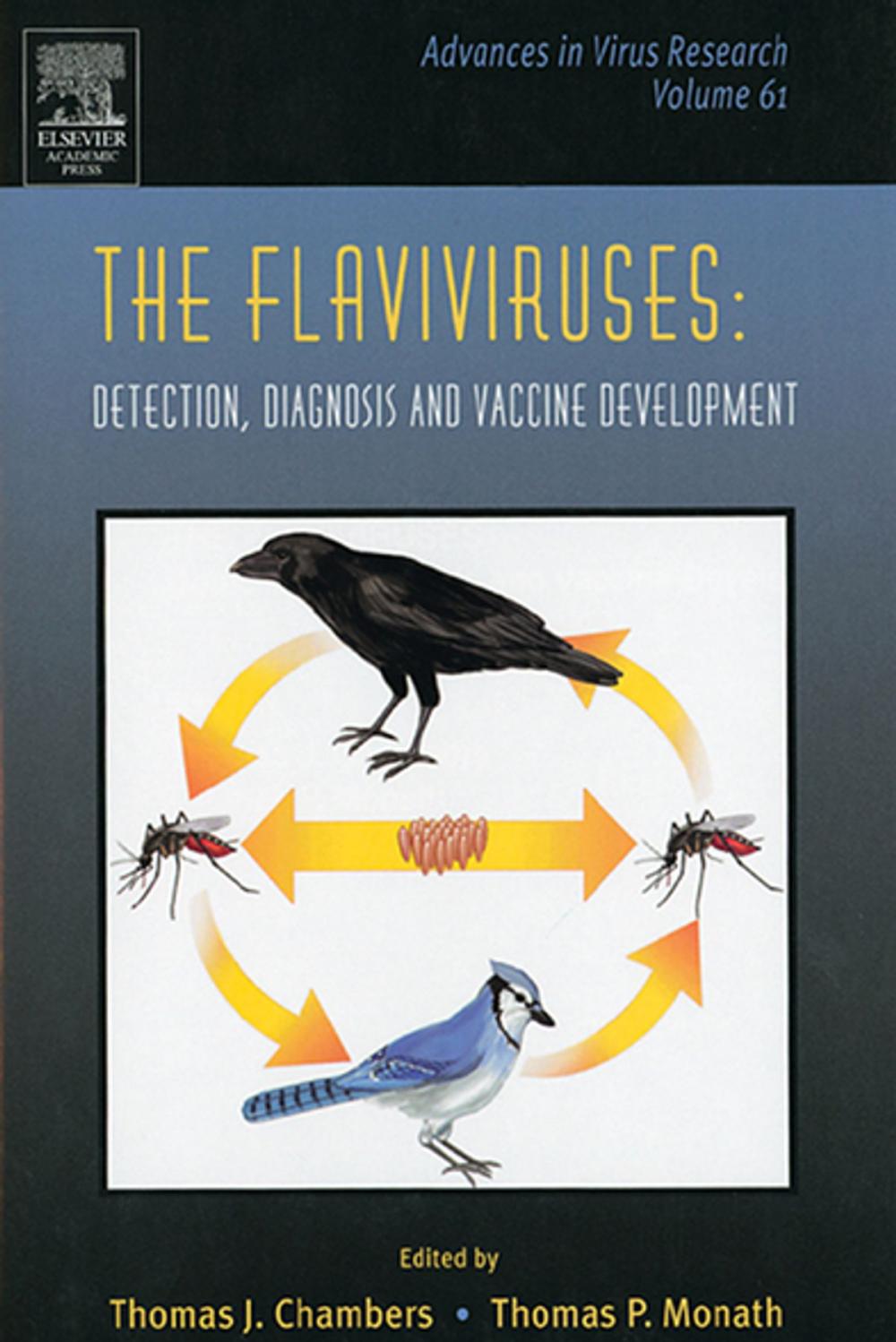 Big bigCover of The Flaviviruses: Detection, Diagnosis and Vaccine Development