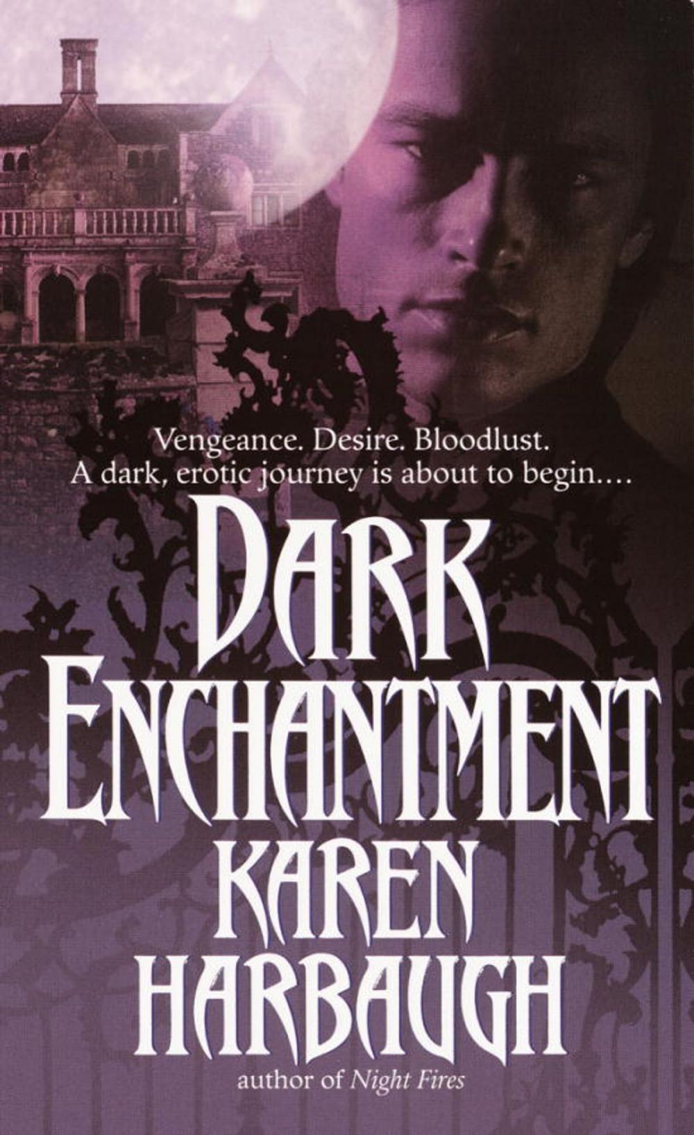 Big bigCover of Dark Enchantment