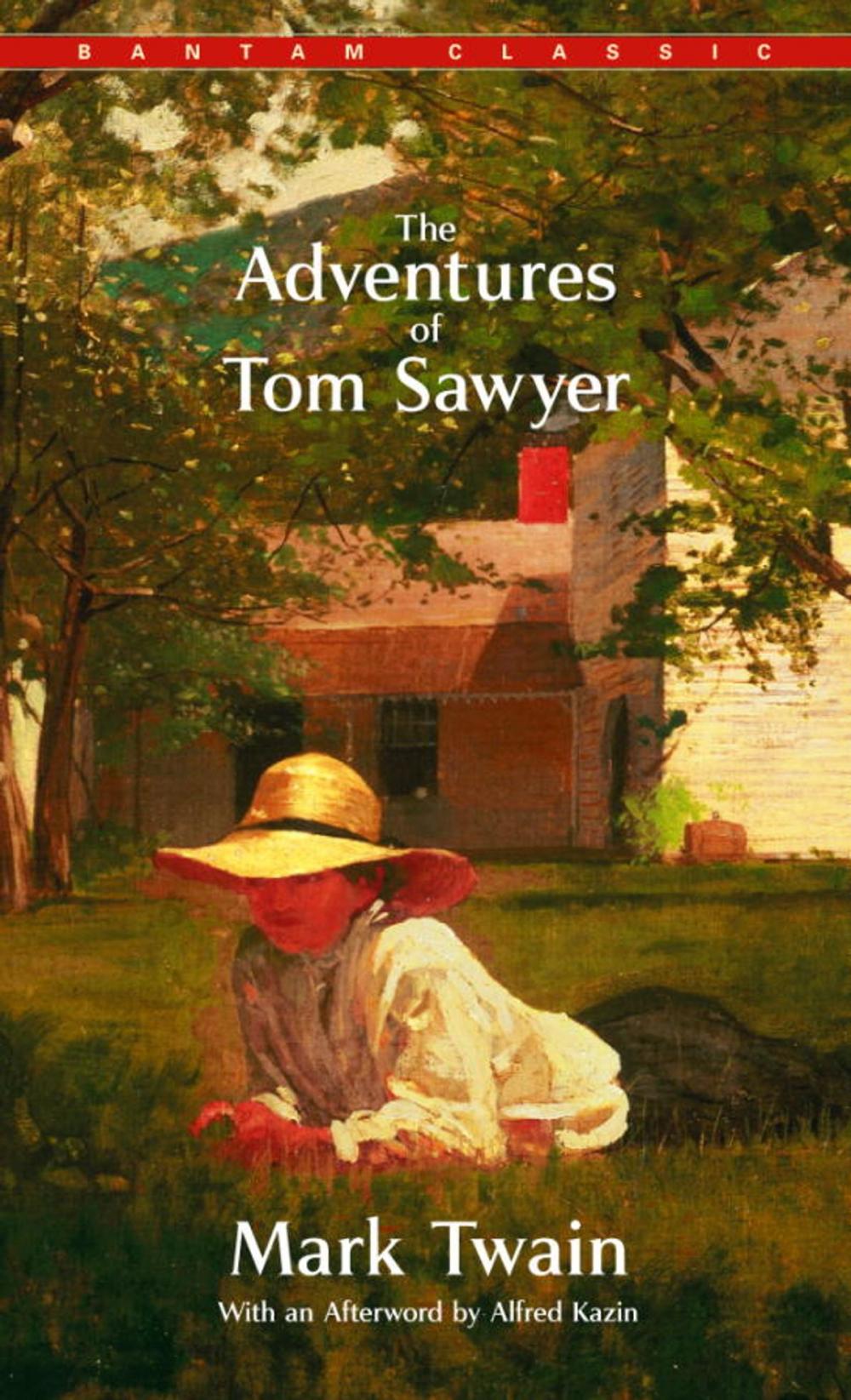 Big bigCover of The Adventures of Tom Sawyer