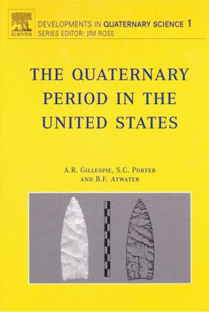 Cover of the book The Quaternary Period in the United States by Holly Hibner, Mary Kelly