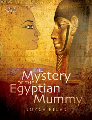 Cover of the book The Mystery of the Egyptian Mummy by C. R. Snyder