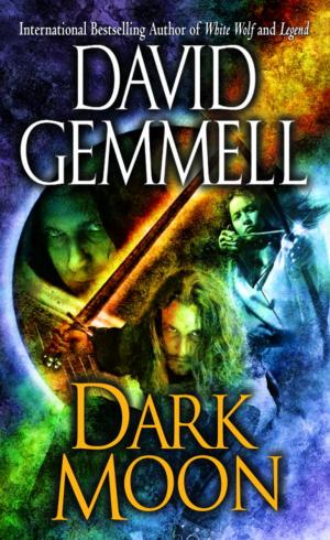 Cover of the book Dark Moon by Nicole Jordan