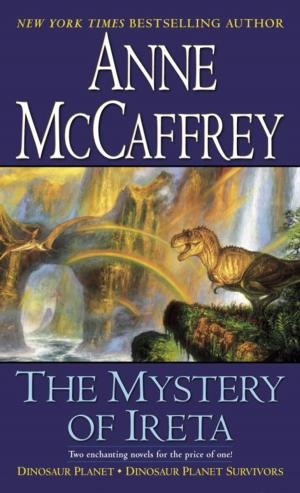 Cover of the book The Mystery of Ireta by John Huddy