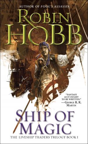 Cover of the book Ship of Magic by Sandra Ulbrich Almazan