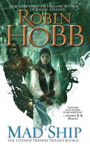 Cover of the book Mad Ship by Nicole Jordan