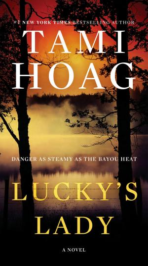 Cover of the book Lucky's Lady by C.A. Higgins
